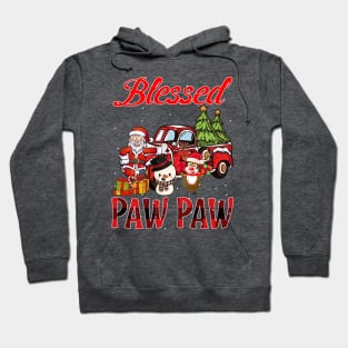 Blessed Paw Paw Red Plaid Christmas Hoodie